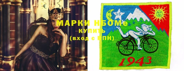 индика Лабытнанги