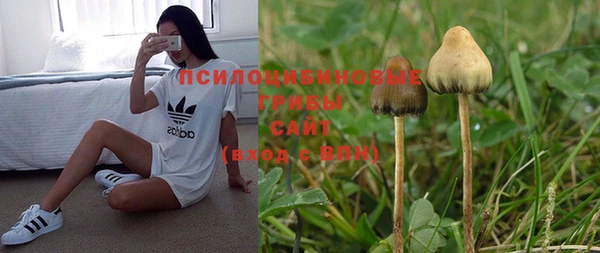 индика Липки