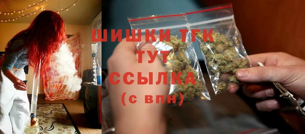 индика Лабытнанги