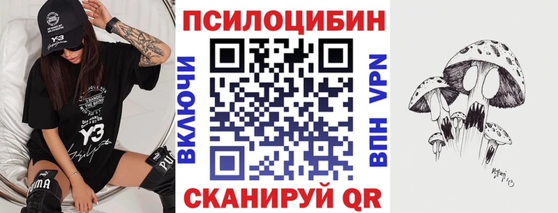 Купить закладки  Мурманск  Галлюциногенные грибы GOLDEN TEACHER 